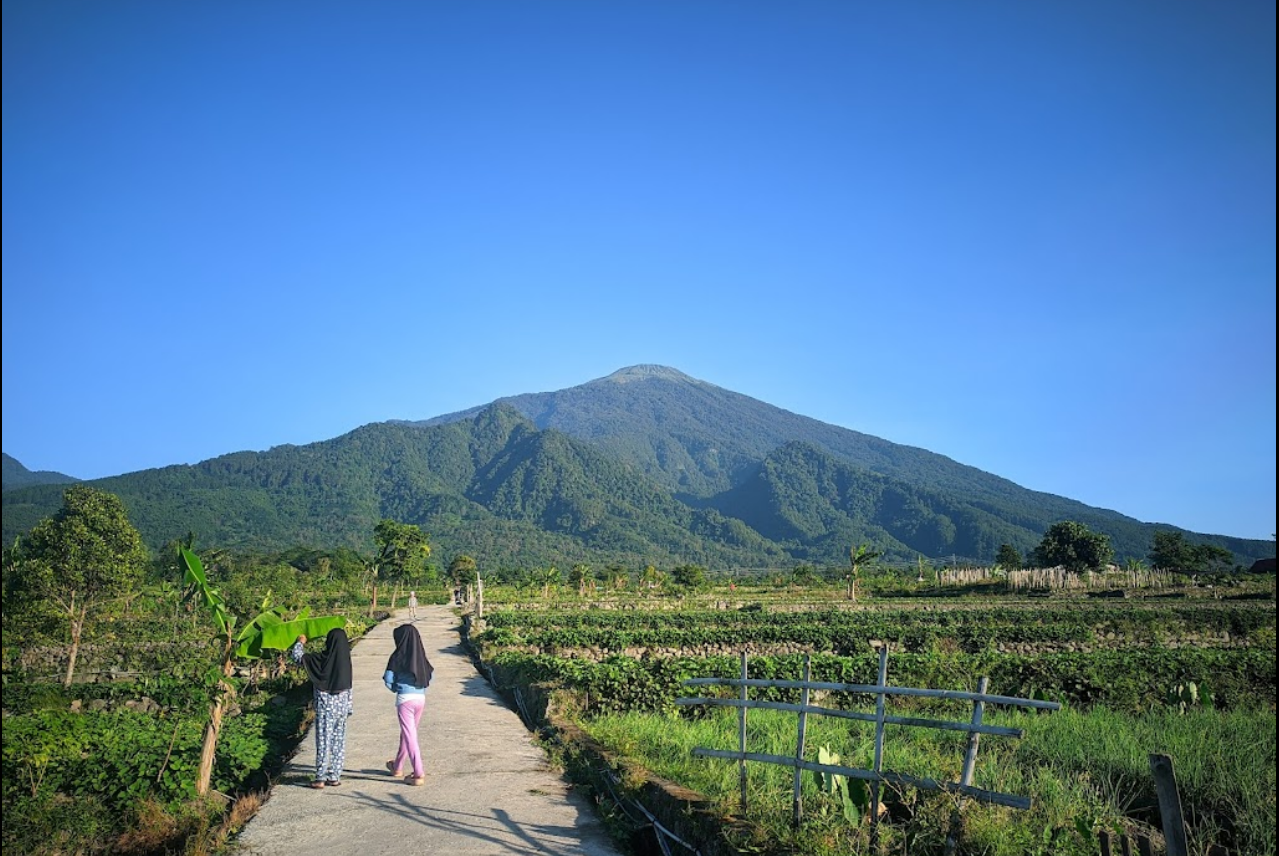 berita populer